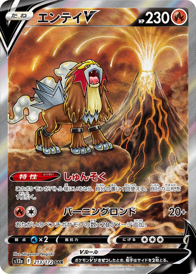 Entei V 213 SAR s12a (JP) Mint